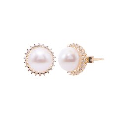 Aretes Oro Amarillo 14k, Estilo Broquel con Perlas